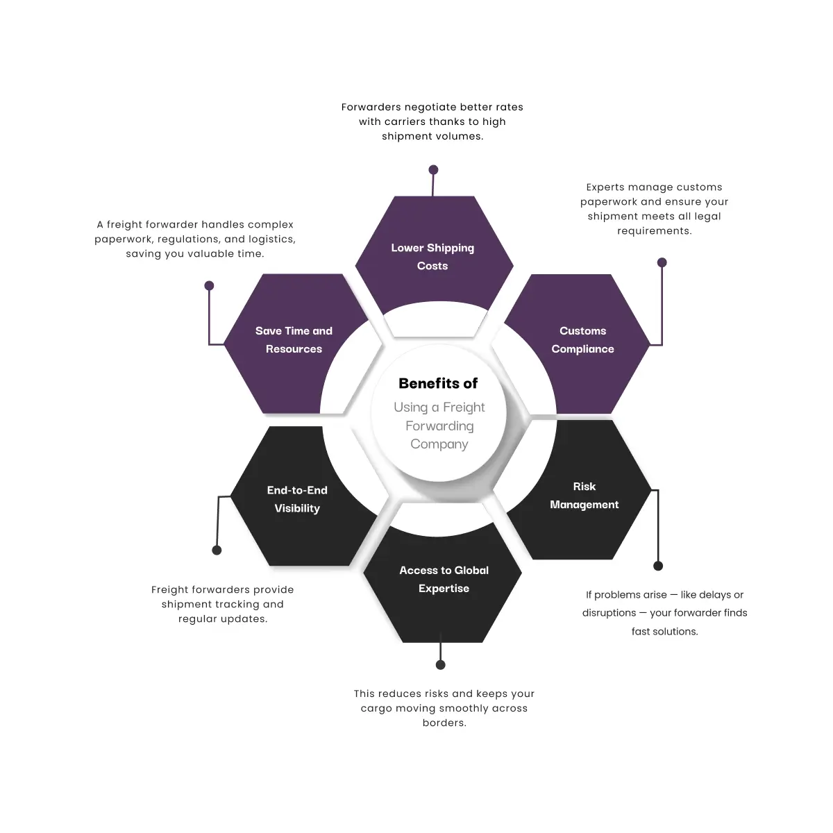 infographic: Benefits of Using a Freight Forwarding Company